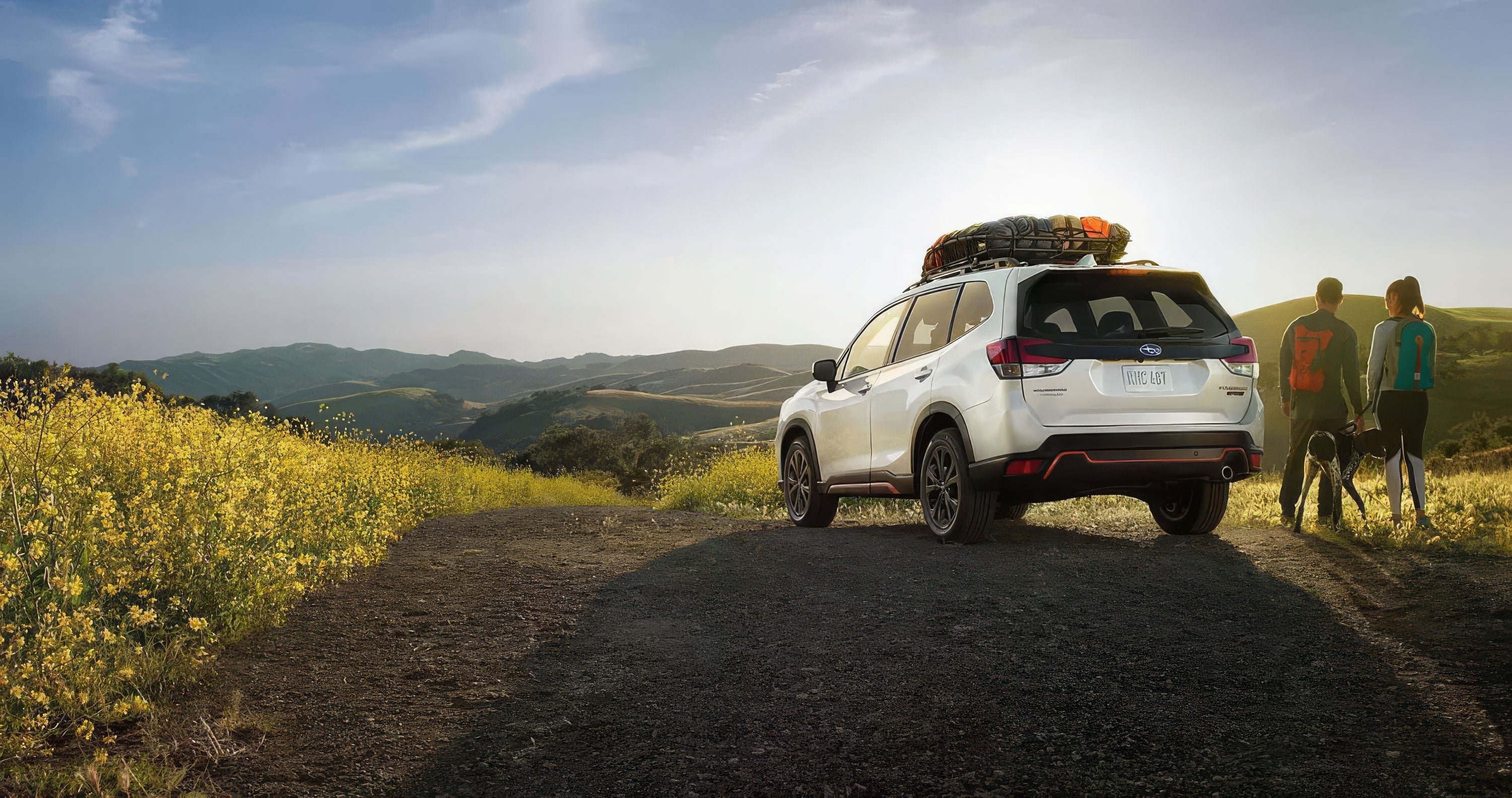 Driving Deeper Connections: How Subaru and Vibemarketstore Reimagined Customer Appreciation